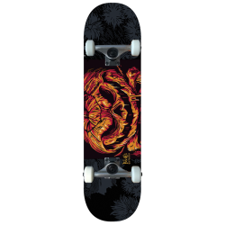 B-LAG Anfänger Skateboard Beginner Komplettboard Rookie Pumpkin