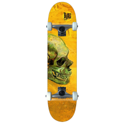 B-LAG Anfänger Skateboard Beginner Komplettboard Rookie Skullart