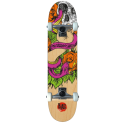 B-LAG Anfänger Skateboard Beginner Komplettboard Rookie Harvest