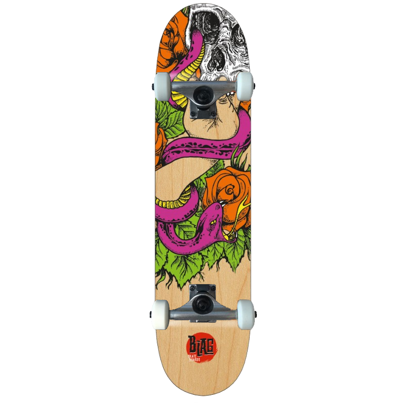 B-LAG Anfänger Skateboard Beginner Komplettboard Rookie Harvest