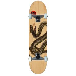 B-LAG Anfänger Skateboard Beginner Komplettboard Rookie Snake