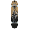 B-LAG Anfänger Skateboard Beginner Komplettboard Rookie Ripper