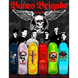 Bones Brigade Series 15 Steve Caballero Limited Edition Lightblue Powell Peralta Reissue Deck