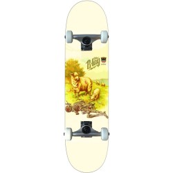 B-LAG Anfänger Skateboard Beginner Komplettboard Rookie Wetterau