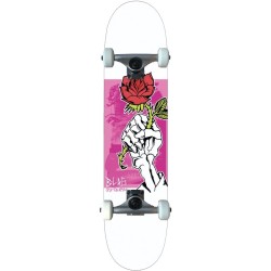 B-LAG Anfänger Skateboard Beginner Komplettboard Rookie Rose