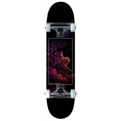 B-LAG Anfänger Skateboard Beginner Komplettboard Rookie Pale Rider