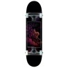 B-LAG Anfänger Skateboard Beginner Komplettboard Rookie Pale Rider